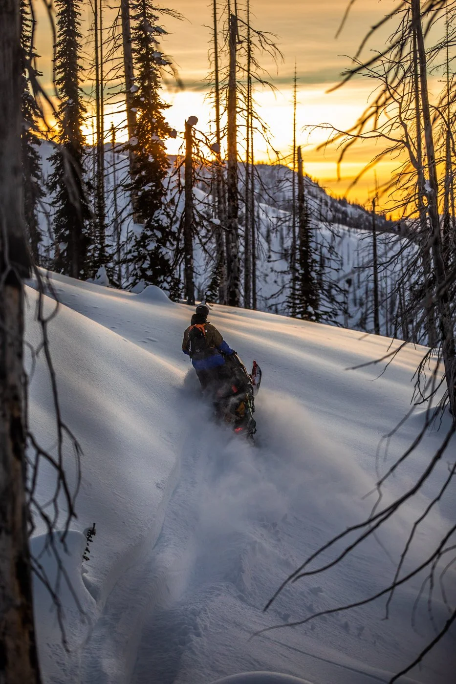 Teton Gravity Research