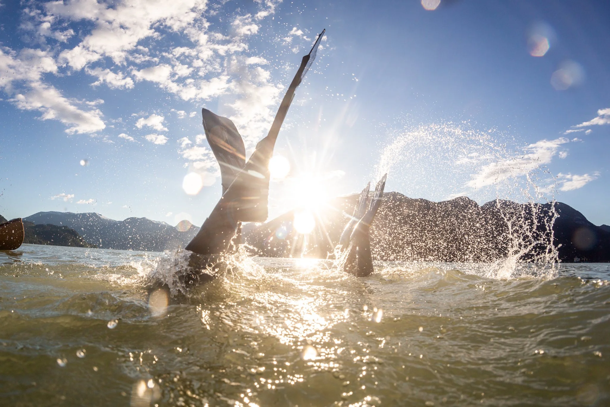 Forecast Ski Magazine